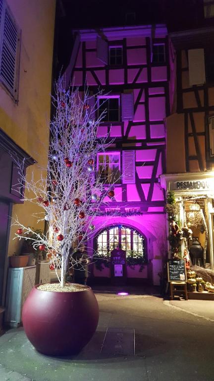 Gite Bim Maidala - 12