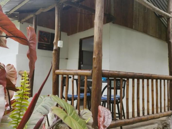 Balkón nebo terasa v ubytování Sapiens house "cabaña del Río"