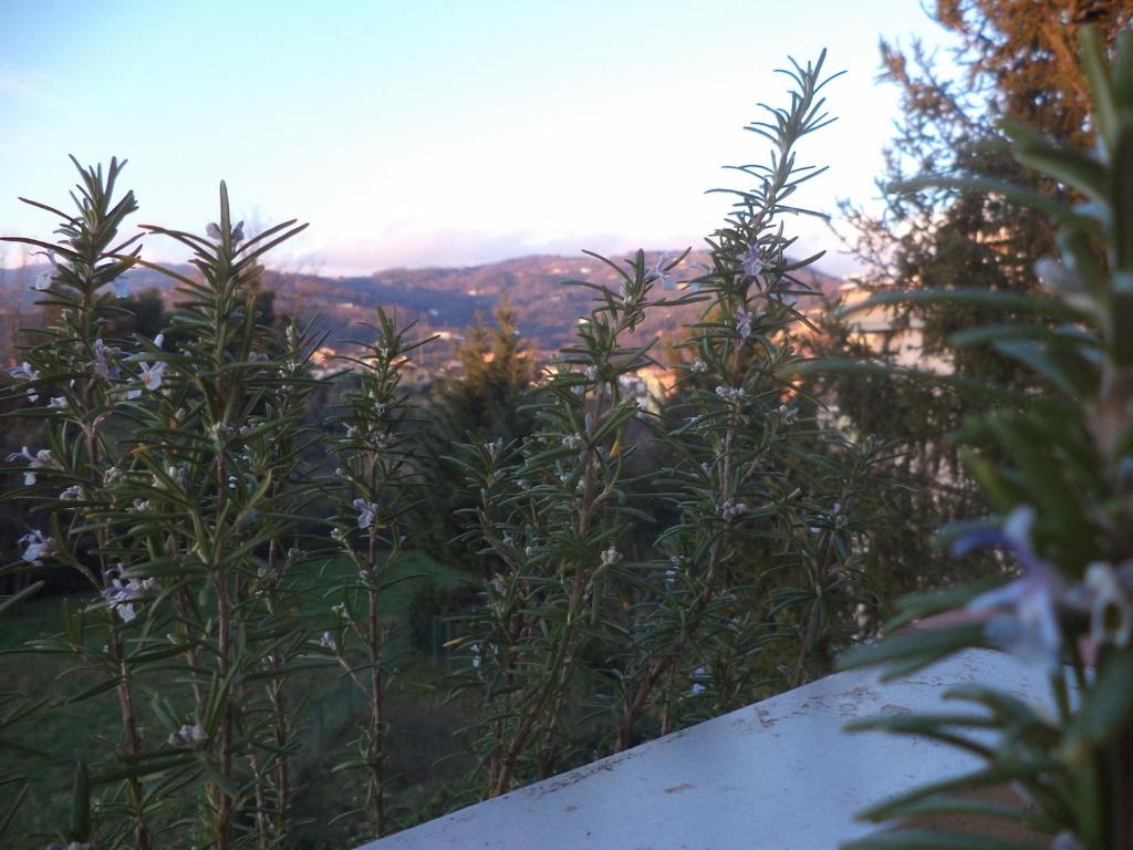 Príroda v okolí apartmánu