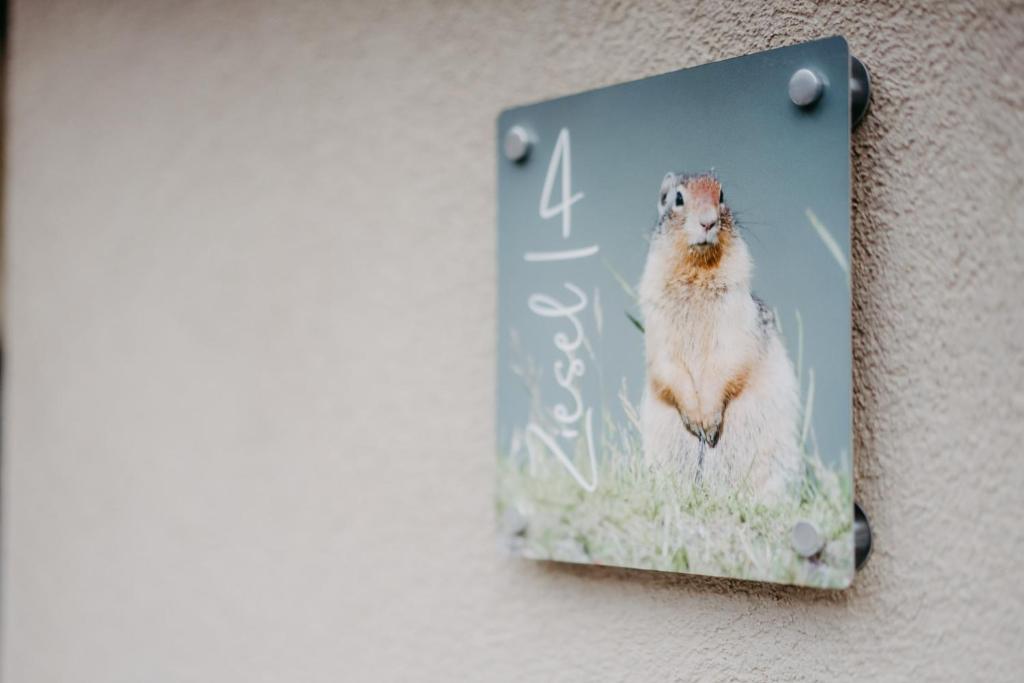 Haus Weiss bei Julia - 11