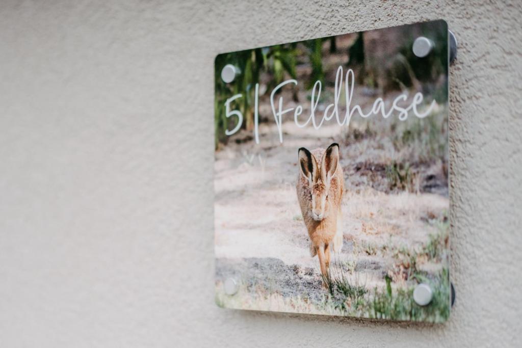 Haus Weiss bei Julia - 13