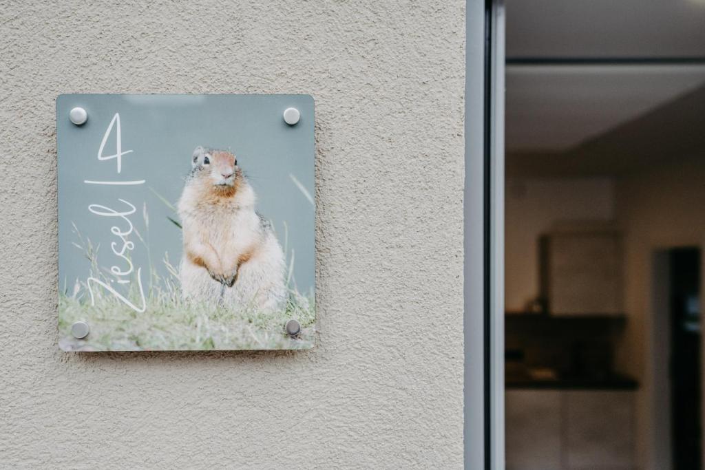 Haus Weiss bei Julia - 12