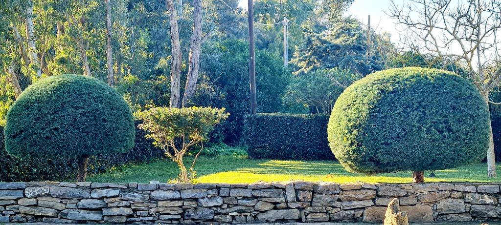 Een tuin van Sa Branda Costa Country Alghero