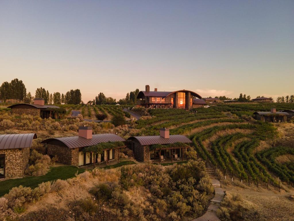 an aerial view of a house in a vineyard at Sagecliffe Resort & Spa in George