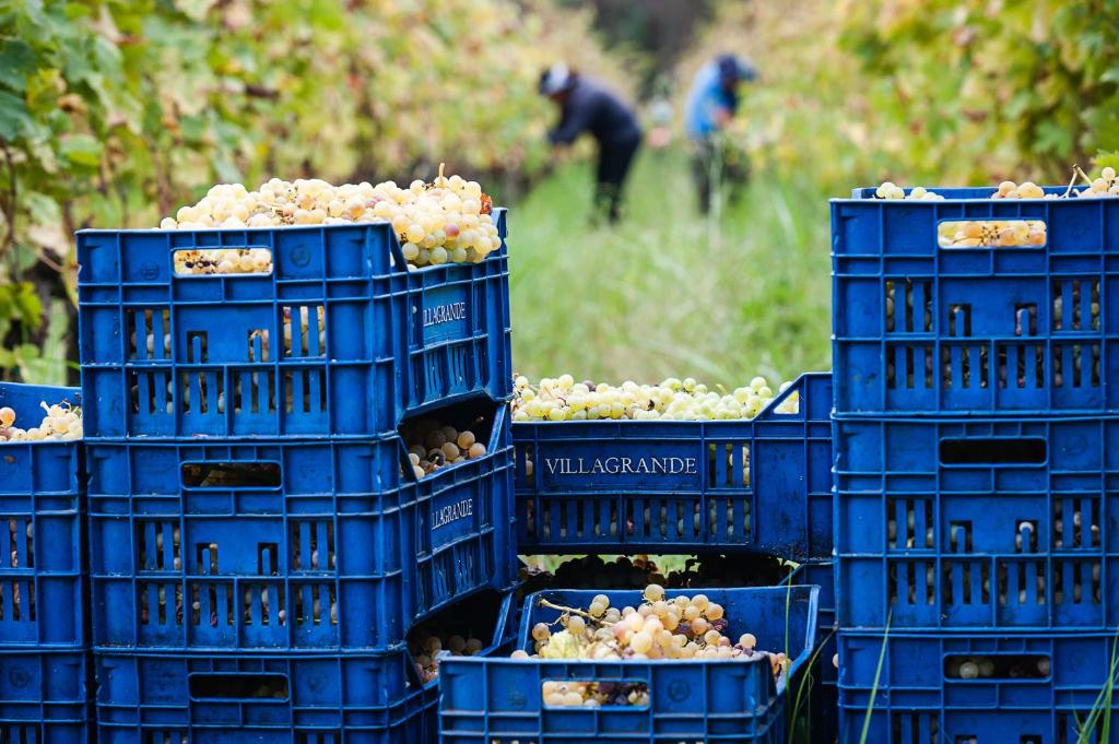 Fotografie z fotogalerie ubytování Wine Resort Villagrande v destinaci Milo