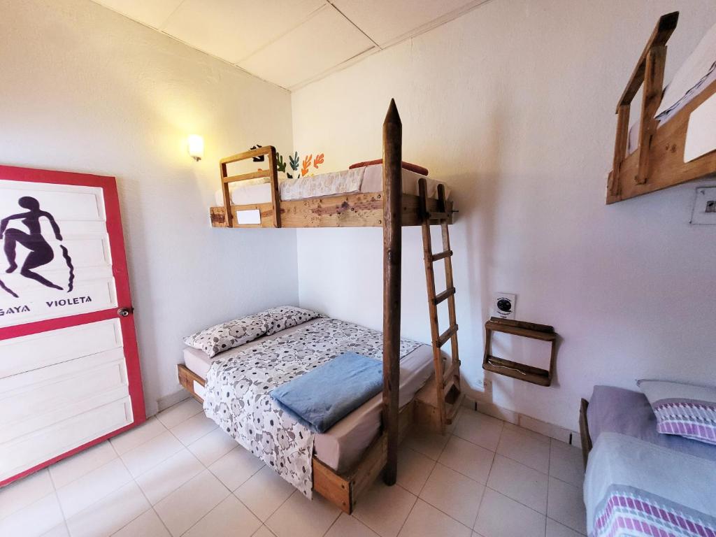 Beach Divanga Hostel and Diving - Comfort Quadruple Room
