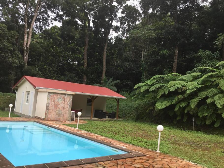 Bazén v ubytování Les Lucioles 1 Beau T2 en forêt tropicale avec accès piscine nebo v jeho okolí