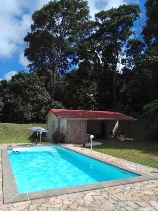 Bazén v ubytování Les Lucioles 1 Beau T2 en forêt tropicale avec accès piscine nebo v jeho okolí