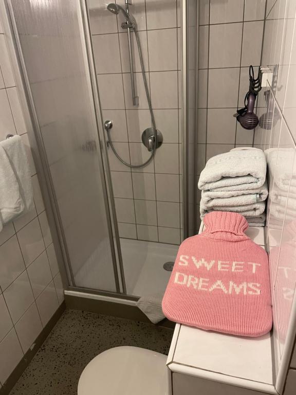 Koupelna v ubytování Gletscherchalet