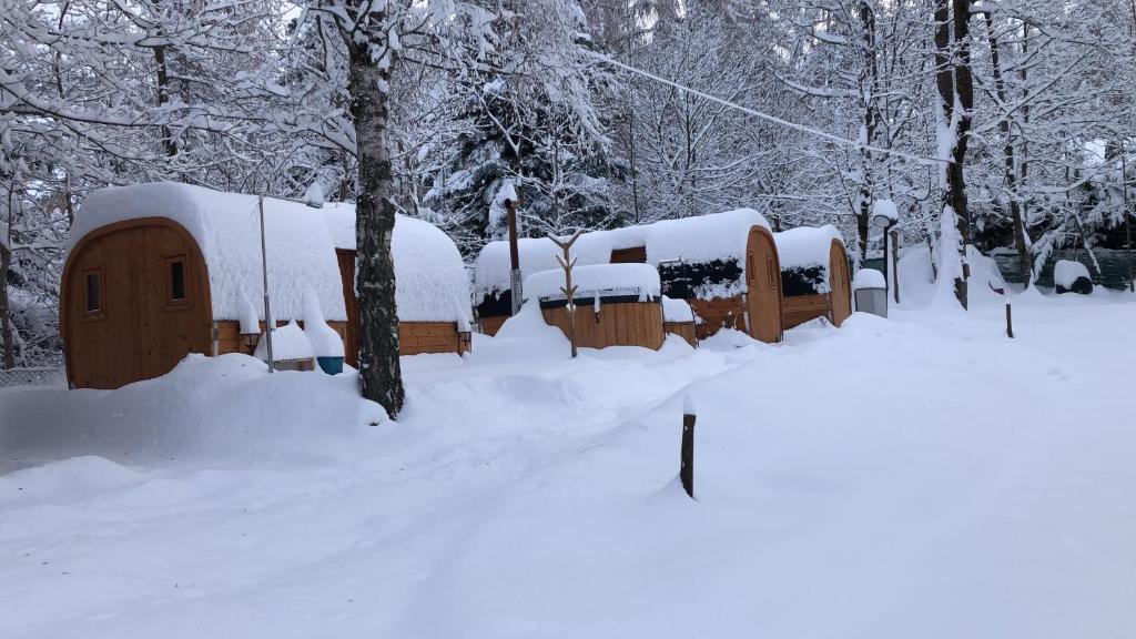 un grupo de casas cubiertas de nieve en Campeggio il Bosco, en Entracque