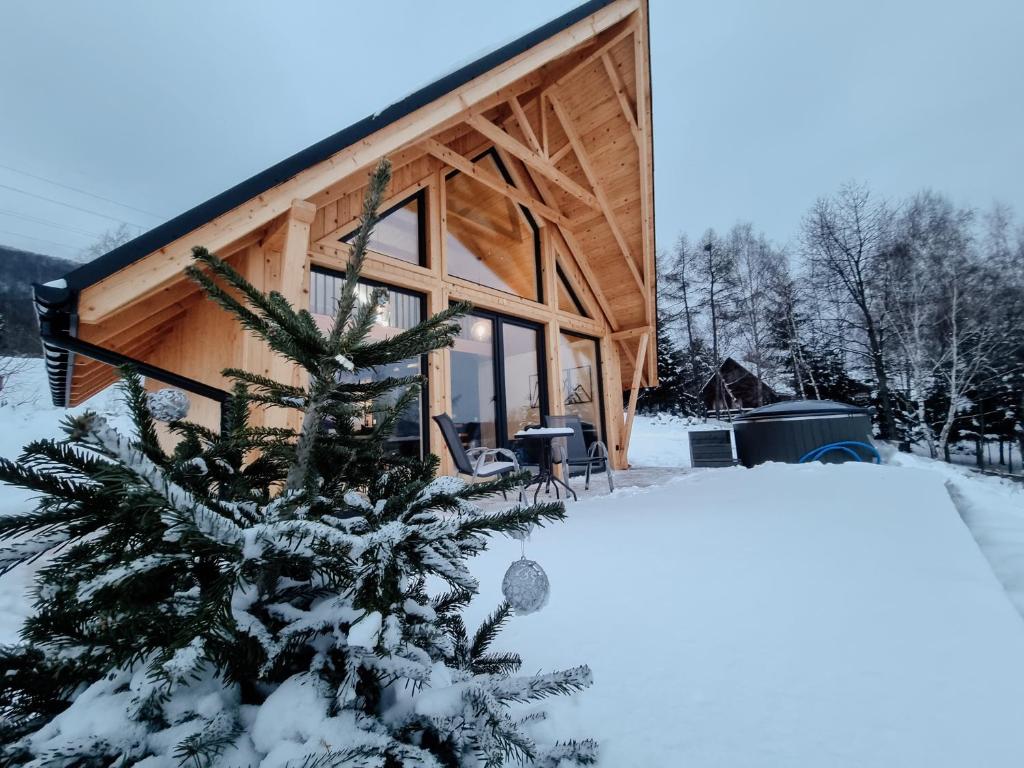 a log cabin with a christmas tree in front of it at Heart and Soul in Tylmanowa