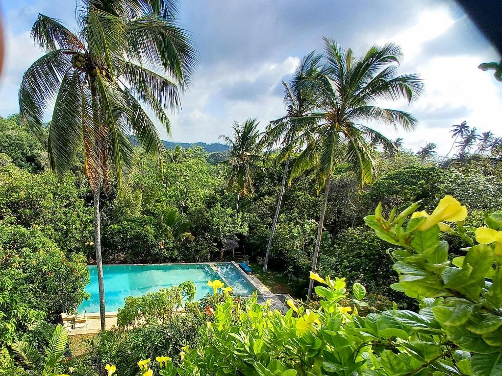 a swimming pool in the middle of a forest with palm trees at Esprit d'Ici Hotel in Mirissa
