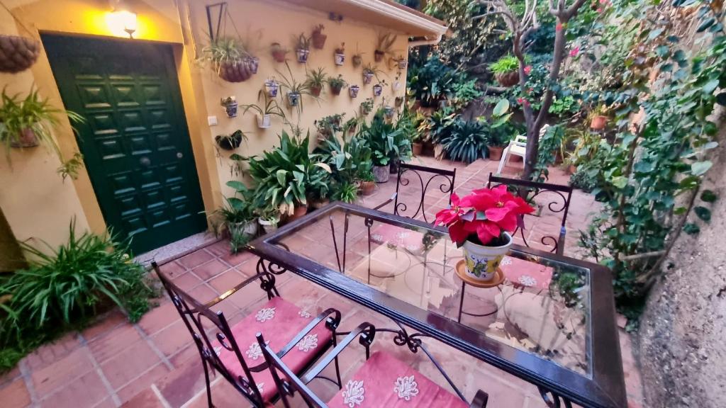Casa Esperanza