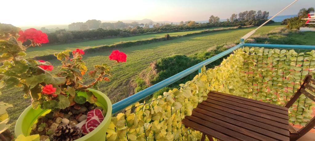 Seaside Holiday Apartment