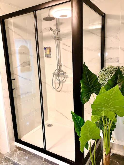 a shower with a glass door in a bathroom at La marbrière, Parking gratuit, proche centre ville in Sens
