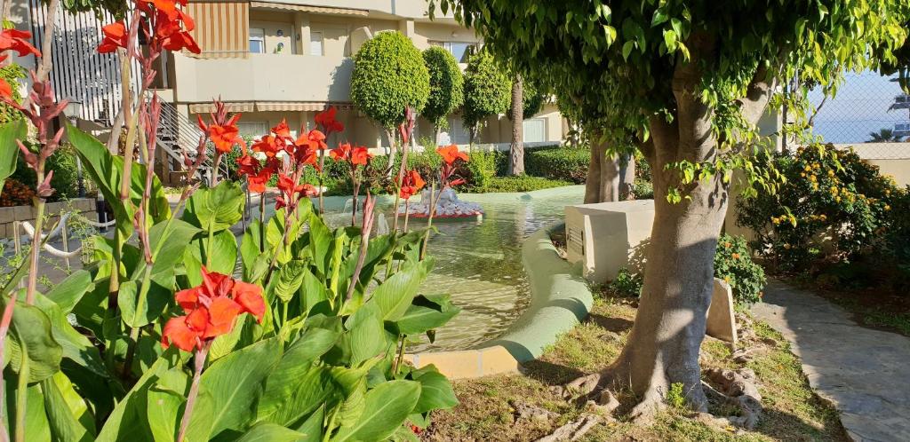 Zahrada ubytování "VIVE BENAL BEACH" con vistas al mar y parque acuático 4506