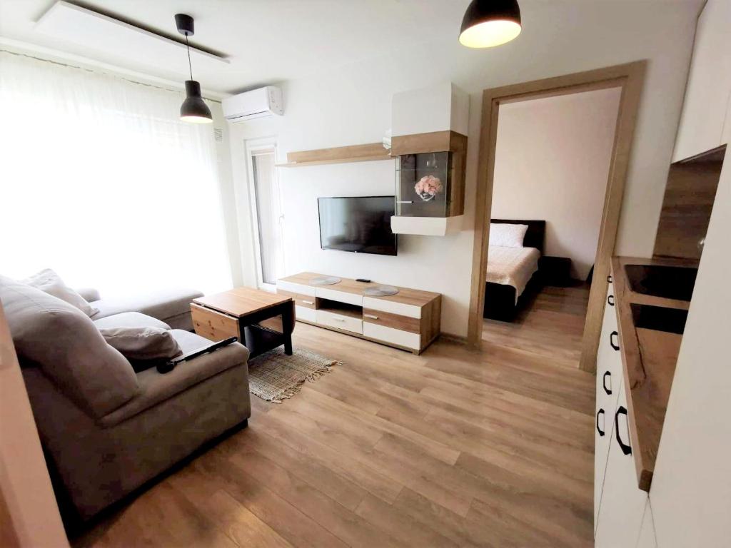 ein Wohnzimmer mit Sofa und Fernseher in der Unterkunft Dianos apartamentai in Palanga