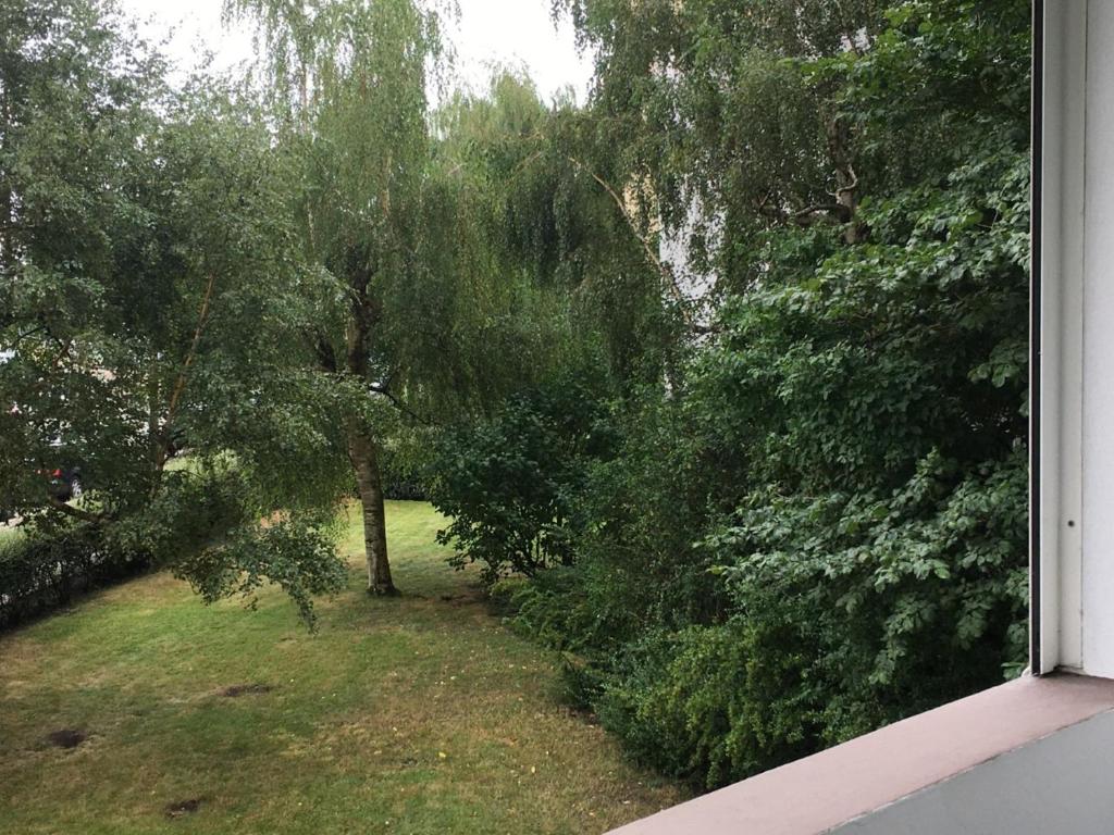 a window view of a yard with trees and grass at DeichApartments70-78 in Bremerhaven
