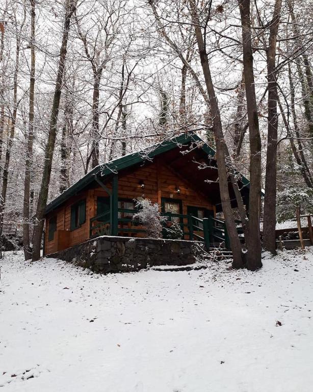 CHALET ETNA MILO during the winter