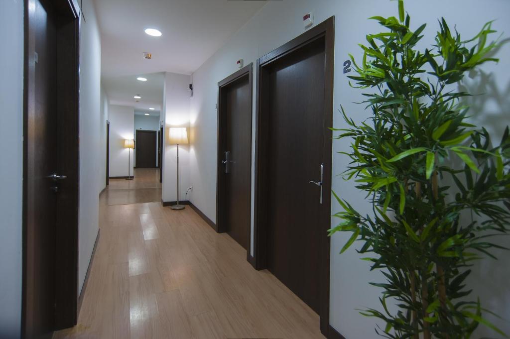 Pension Guria Jatetxea - Standard Double Or Twin Room