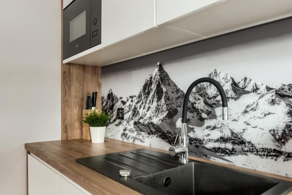 Kuchyňa alebo kuchynka v ubytovaní Apartamenty Górskie Zacisze