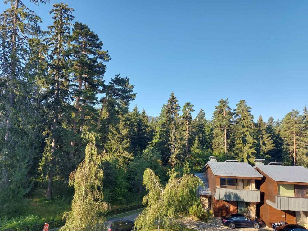 a house in the middle of a forest with trees at Residence E205 Euphoria Borovets in Borovets