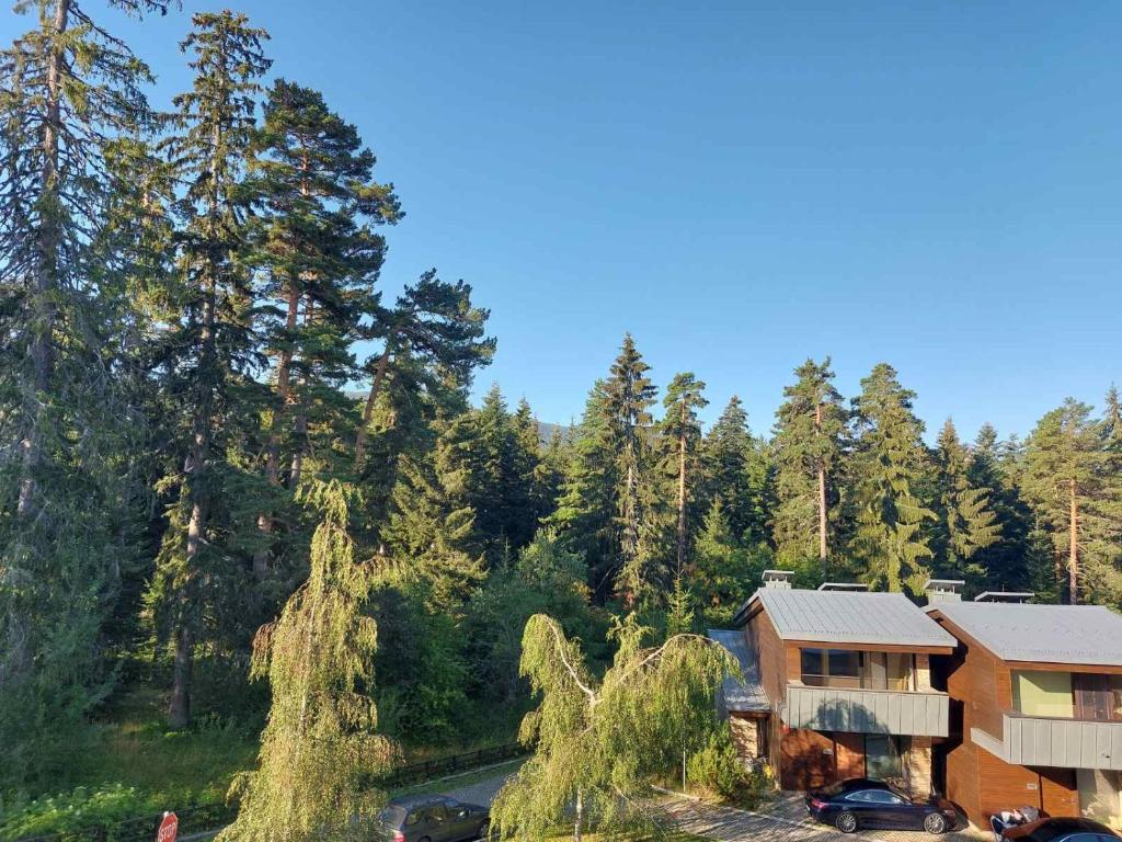 una casa in mezzo a una foresta con alberi di Residence E205 Euphoria Borovets a Borovets