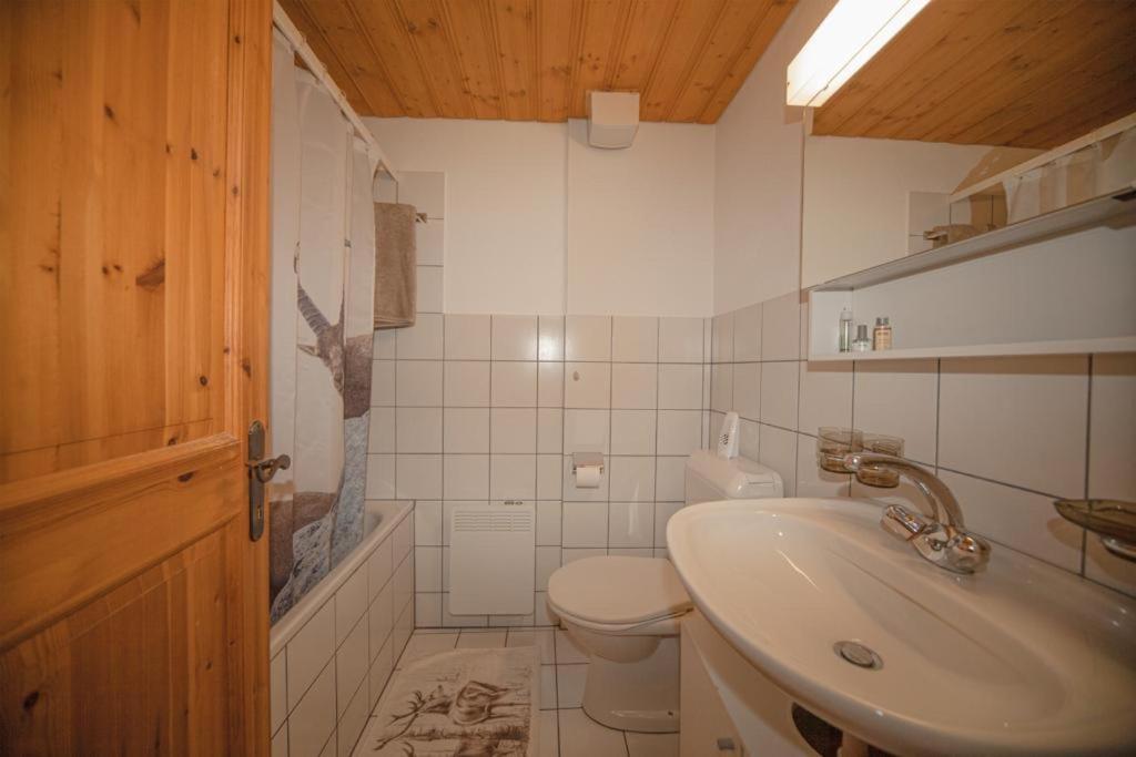 Vannituba majutusasutuses Hotel und Restaurant Alpina