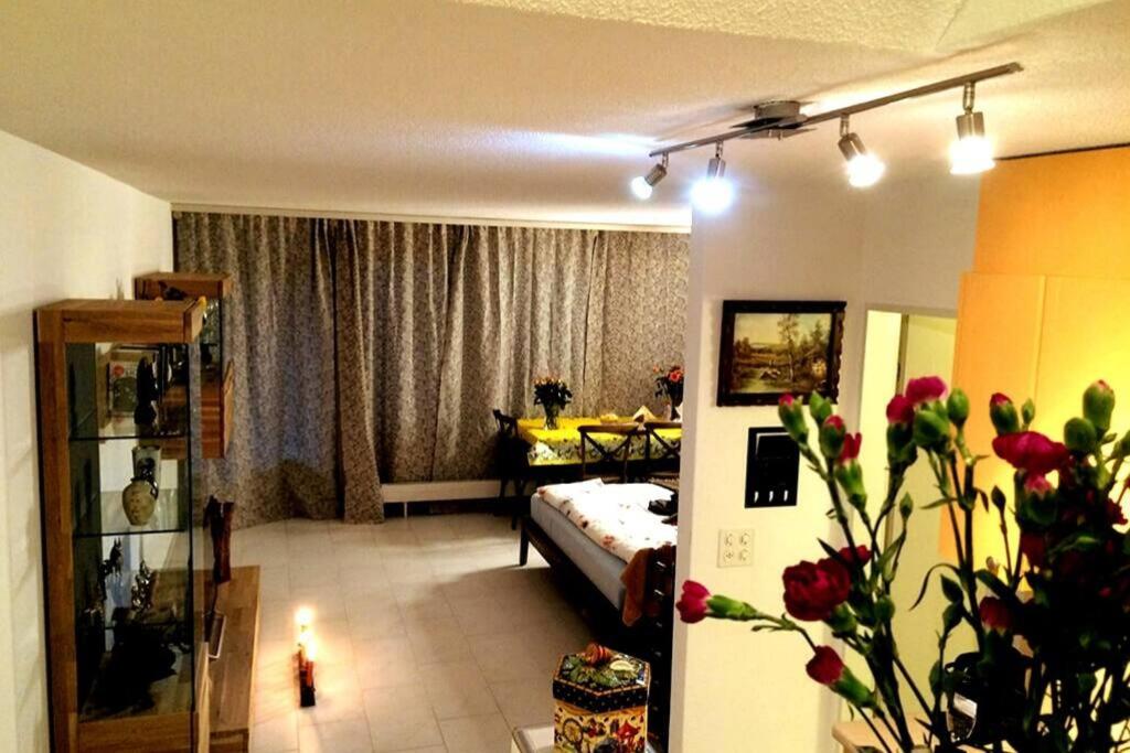 1.5 Room cosy Studio in Birmensdorf -Zurich- 16-1R