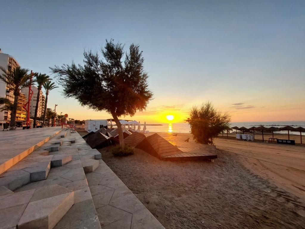 a sunset on a beach with benches and a tree at Loft JUNTO AL MAR in Vinaròs