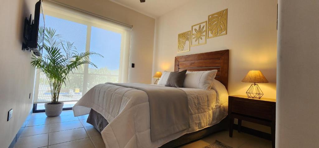 a bedroom with a bed and a large window at SUITES LOMBOY & PLAZA in San José del Cabo