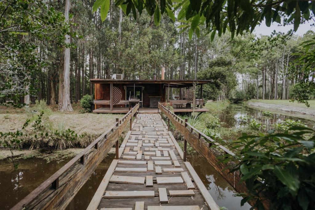 ein Haus in einem Wald mit einer Brücke über einen Fluss in der Unterkunft Cabañas en el Bosque a 5 minutos del mar - Estancia CH in Punta del Este