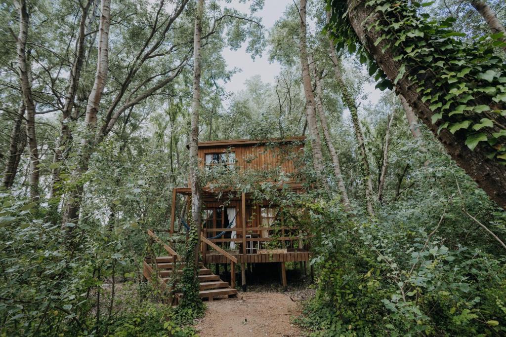 Zahrada ubytování Cabañas en el Bosque a 5 minutos del mar - Estancia CH