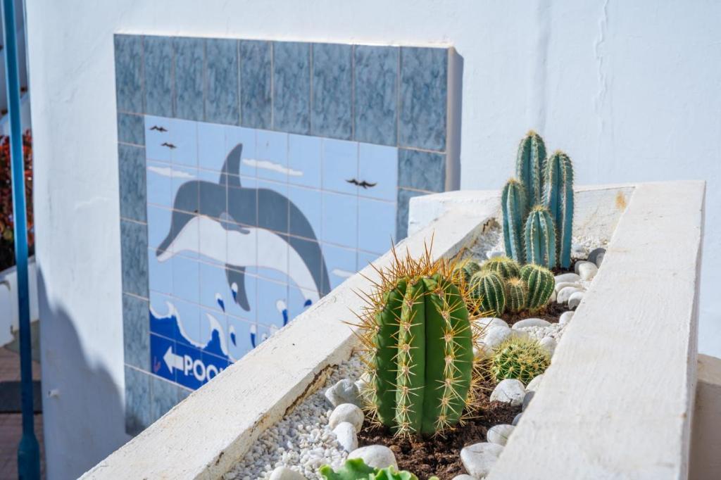 Fotografie z fotogalerie ubytování 1013 studio Garden City v destinaci Playa Fañabe