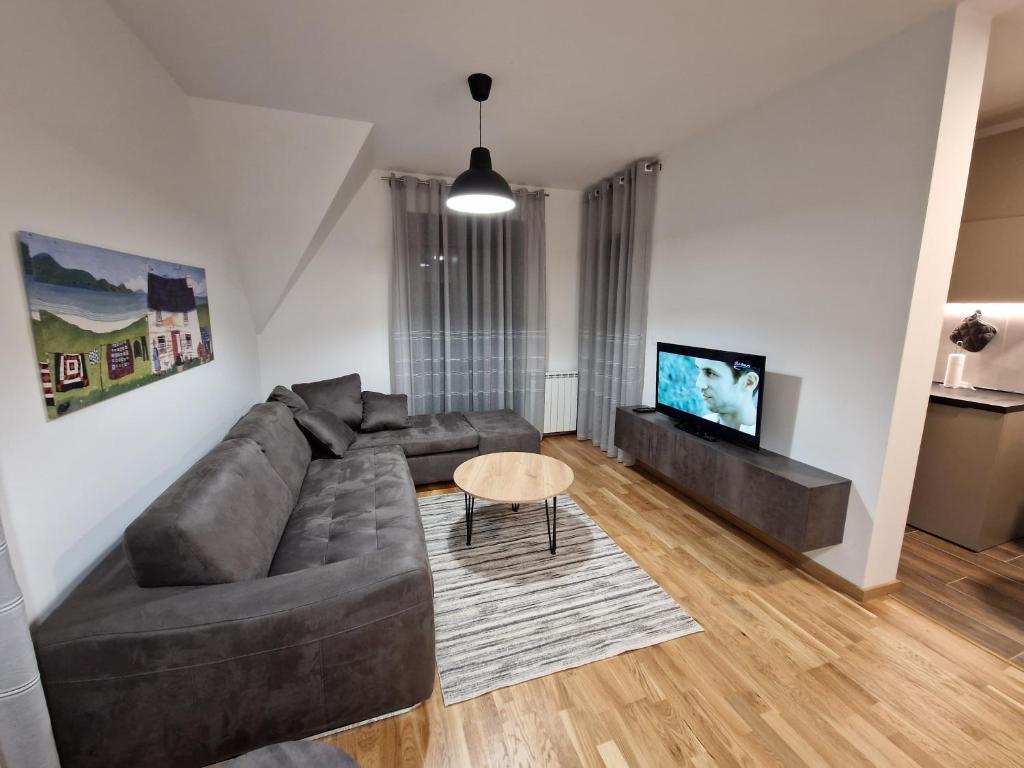 TV a/nebo společenská místnost v ubytování Apartman u centru Kolasina sa garazom