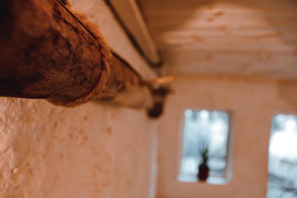 Fotografie z fotogalerie ubytování Hobbit village v destinaci Dana