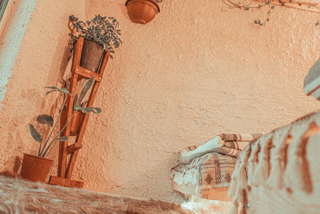 Fotografie z fotogalerie ubytování Hobbit village v destinaci Dana