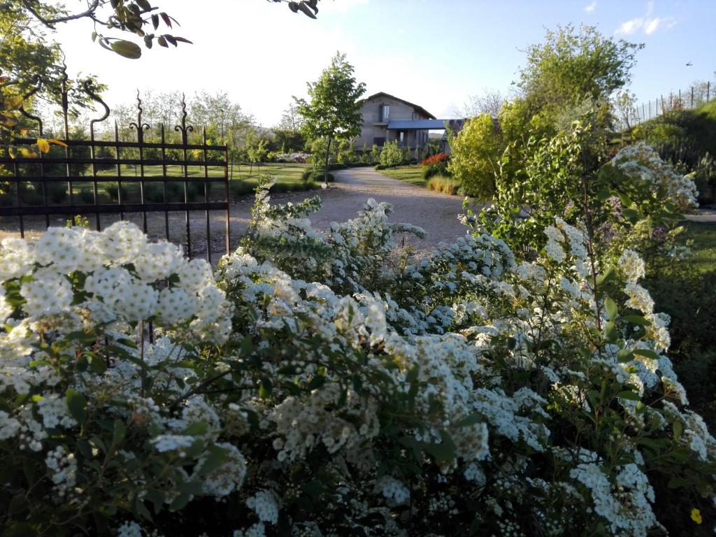 een tuin van witte bloemen met een huis op de achtergrond bij Florario B&B in Chieri