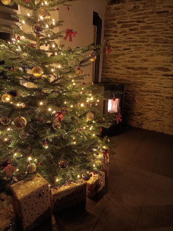 Fotografie z fotogalerie ubytování Gîte 28 court v destinaci Bastogne