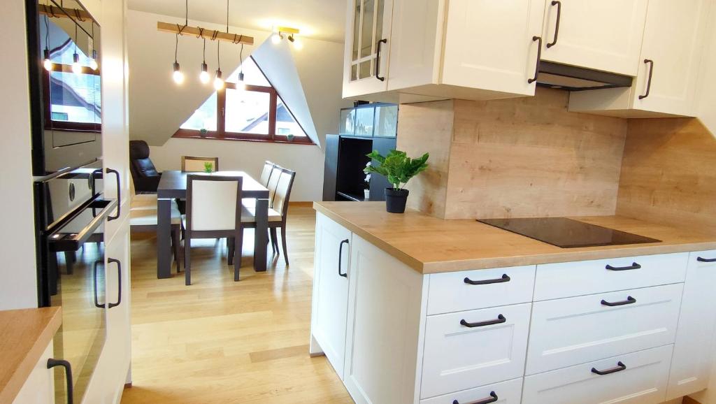Kuchyň nebo kuchyňský kout v ubytování Apartmaji Dora
