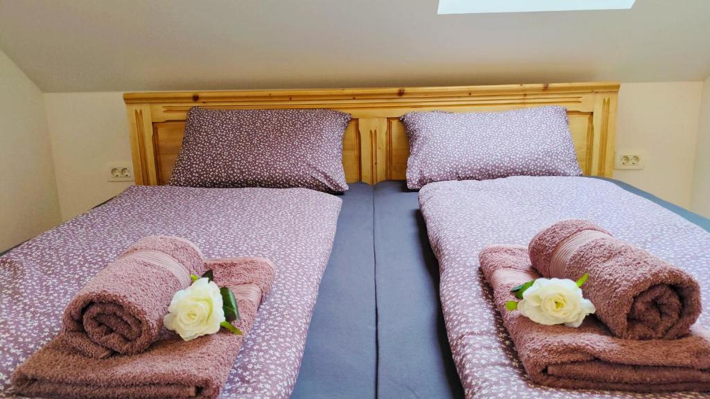 Postel nebo postele na pokoji v ubytování Apartmaji Dora
