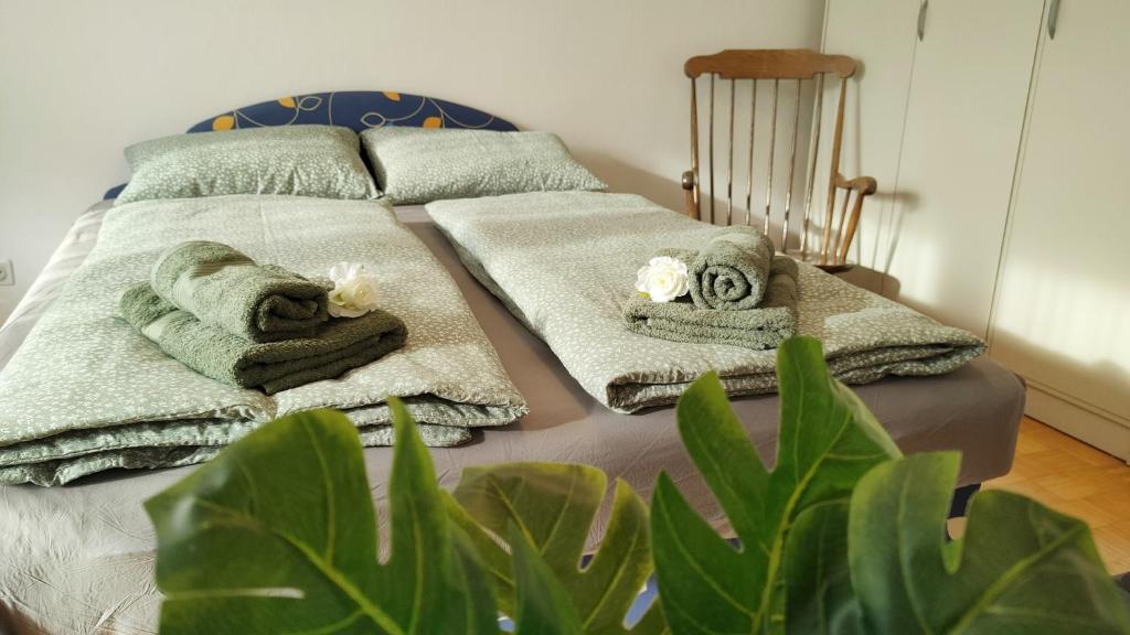 Postel nebo postele na pokoji v ubytování Apartmaji Dora