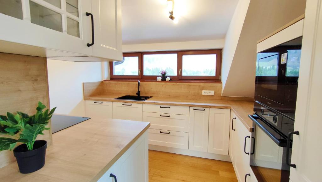 Kuchyň nebo kuchyňský kout v ubytování Apartmaji Dora