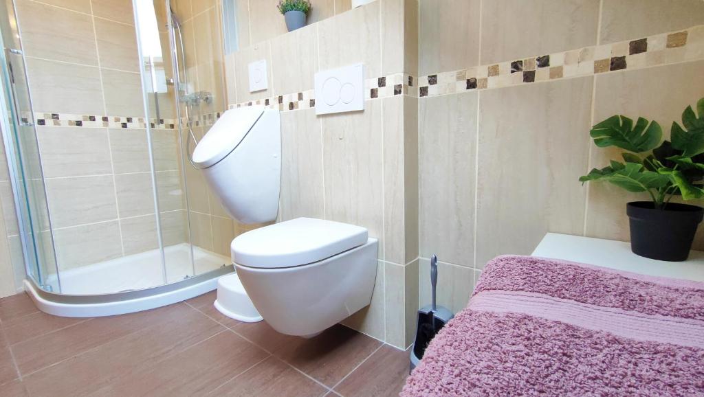 Koupelna v ubytování Apartmaji Dora