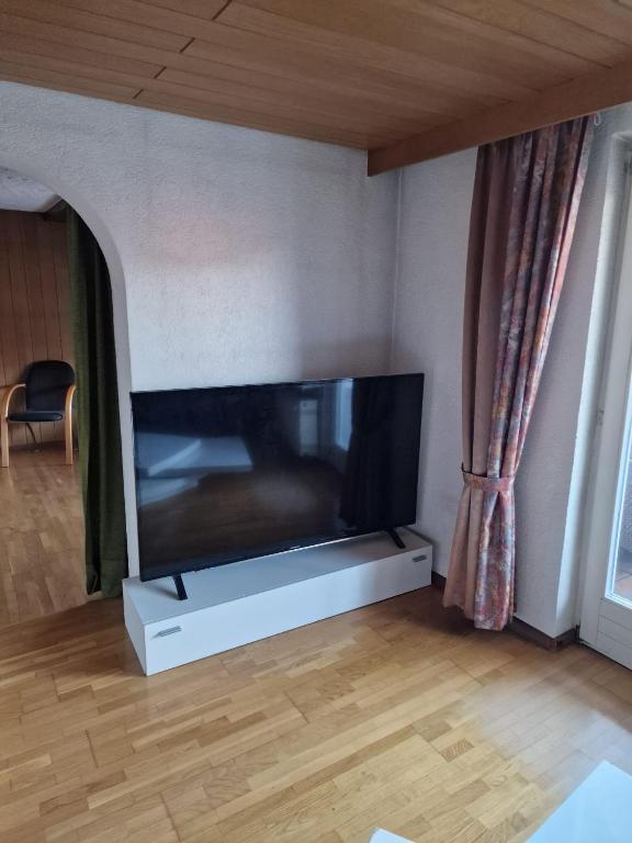 TV a/nebo společenská místnost v ubytování Monteurswohnung Schwarzwald