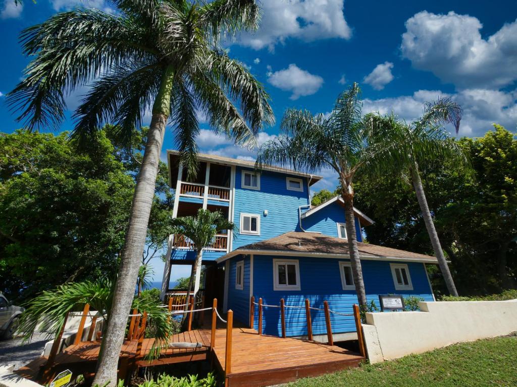 una casa azul con palmeras delante en Casa Buena Vida, en West Bay