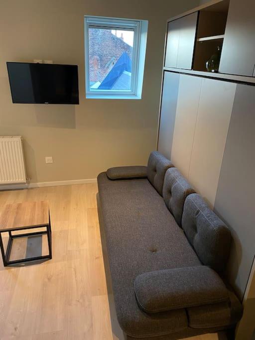 sala de estar con sofá y ventana en Cambrai:studio style loft, en Cambrai
