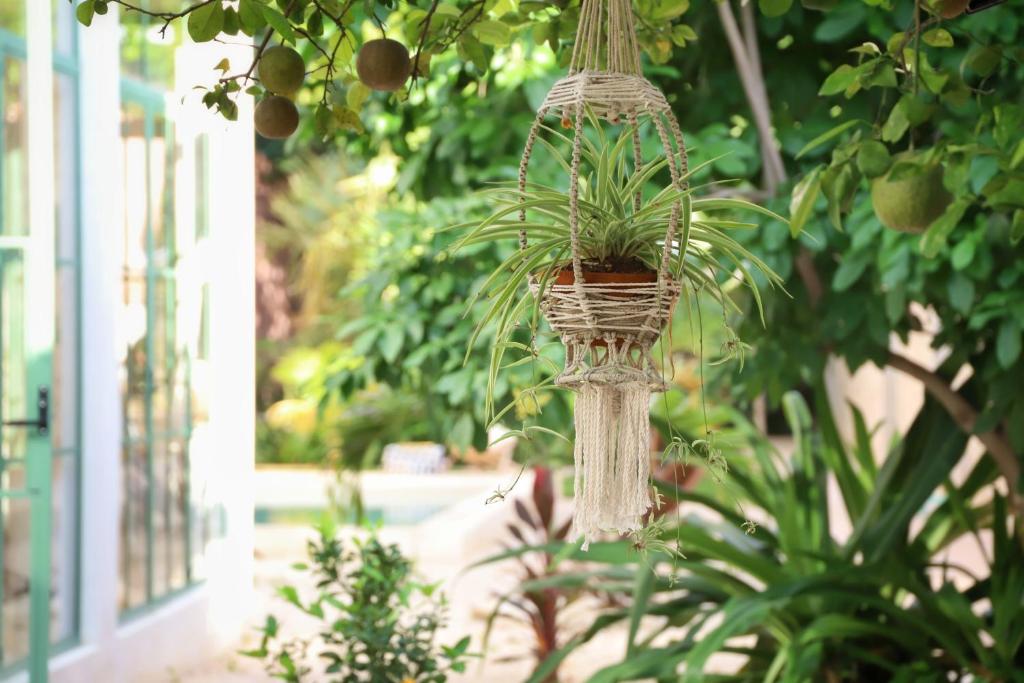 Zahrada ubytování Nuik Casa Tropical