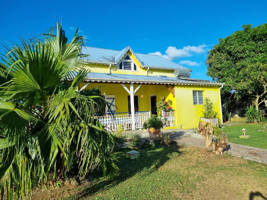 uma casa amarela com uma palmeira em frente em Villa Caraïbes em Sainte-Rose