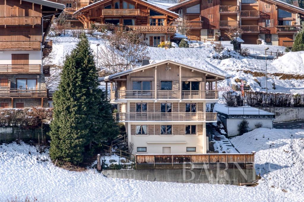 Apartments in Chalet Nessa v zime